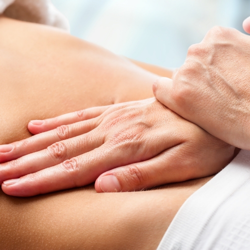 visceral-manipulation-anatomy-physiotherapy-clinic-orleans-st-laurent-westboro-stittsville