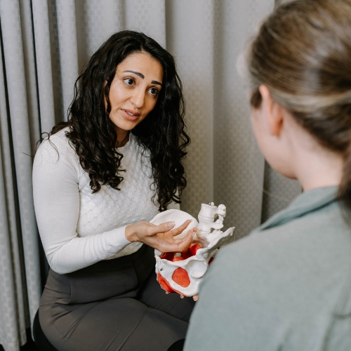 pre-post-natal-pain-anatomy-physiotherapy-clinic-orleans-st-laurent-westboro-stittsville