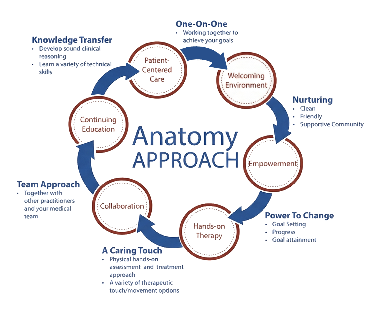 infographic-anatomy-physical-therapy-orleans-ottawa-stittsville-on